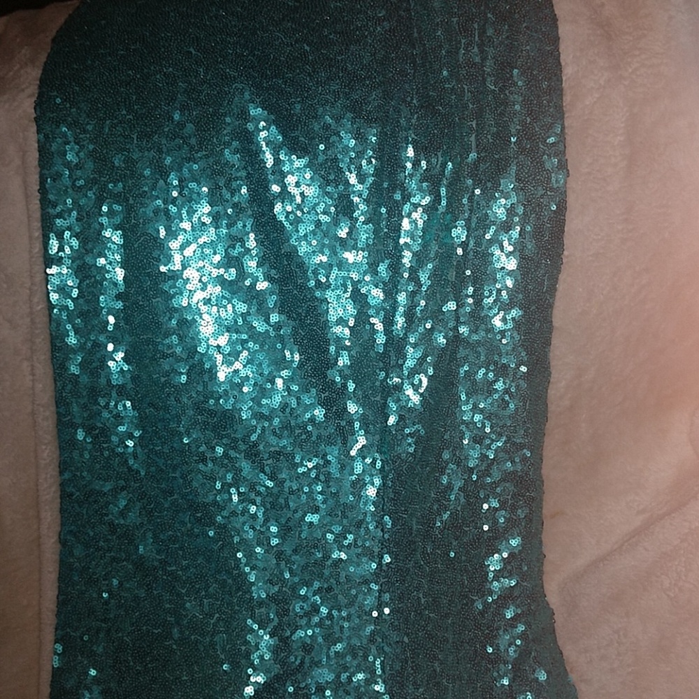 Dress/Skirt?